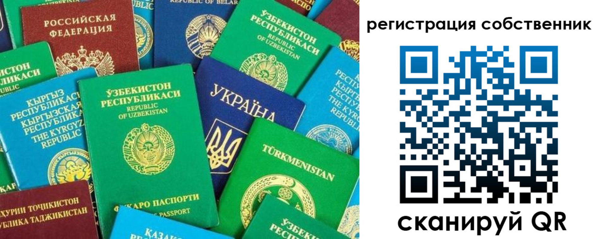 прописка в Лесном